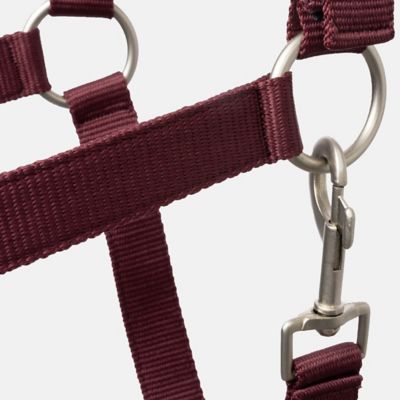 Image showing  Physical Sophistication Halter and Lead Set