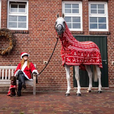 Image showing  Santa Christmas Fleece High Neck Cooler