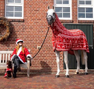 Image showing  Santa Christmas Fleece High Neck Cooler