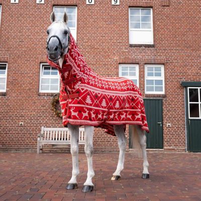 Image showing  Santa Christmas Fleece High Neck Cooler