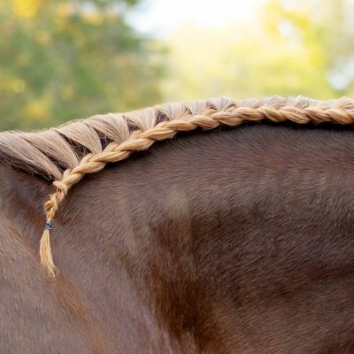 Image showing  Silicone Rubber Plaiting Band