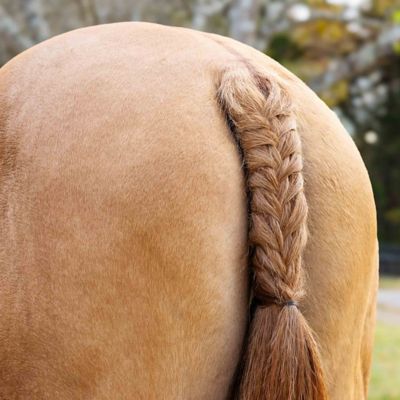 Image showing  Silicone Rubber Plaiting Band