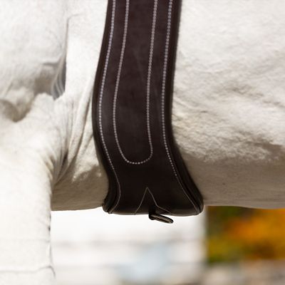 Image showing  Valkyrie Anatomical Long Girth