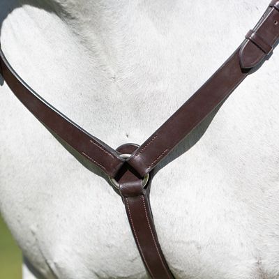 Image showing  Valkyrie Elastic Breastplate