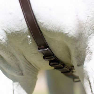 Image showing  Valkyrie Elastic Breastplate