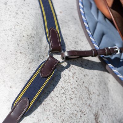 Image showing  Valkyrie Elastic Breastplate