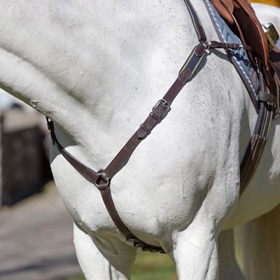 Image showing  Valkyrie Elastic Breastplate