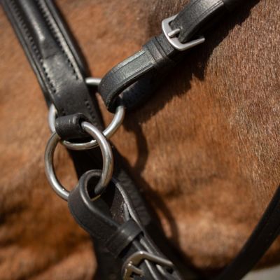 Image showing  Saga Bitless Bridle