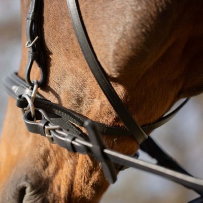 Image showing  Saga Bitless Bridle