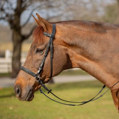 Image showing  Saga Bitless Bridle