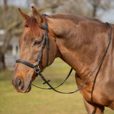 Image showing  Saga Bitless Bridle