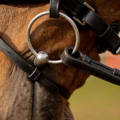 Image showing  Valkyrie Anatomic Dressage Bridle with Rubber Reins