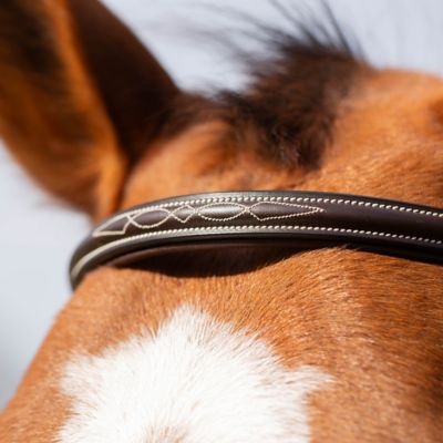 Image showing  Valkyrie Anatomic Jumper Bridle with Rubber Reins