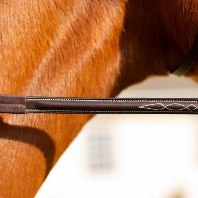Image showing  Valkyrie Anatomic Jumper Bridle with Rubber Reins