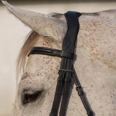Image showing  Valkyrie Alternative Flash Bridle with Rubber Reins