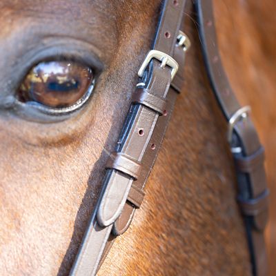 Image showing  Saga Wide Noseband Hunter Bridle with Reins