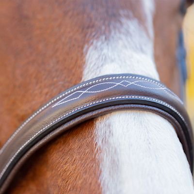 Image showing  Saga Wide Noseband Hunter Bridle with Reins