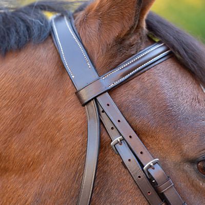 Image showing 5 th Equinavia Saga Wide Noseband Hunter Bridle with Reins