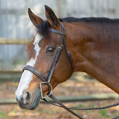 Equinavia Saga Wide Noseband Hunter Bridle with Reins