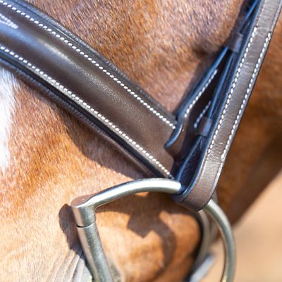 Image showing 2 th Equinavia Saga Wide Noseband Hunter Bridle with Reins