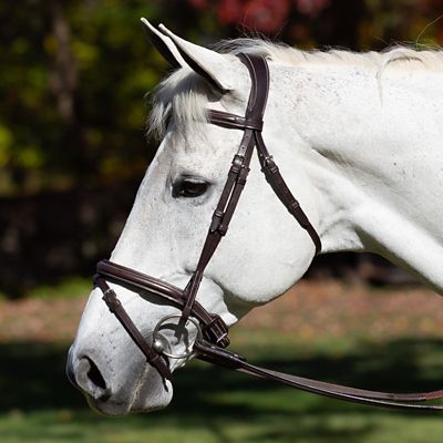 Image showing  Valkyrie Flash Bridle & Rubber Reins
