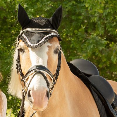 Image showing  Nord Ear Net