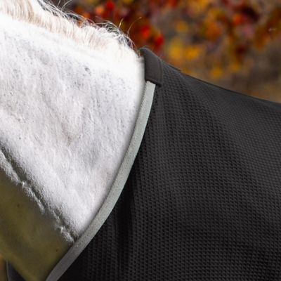 Image showing  Luftig Waffle Cooler