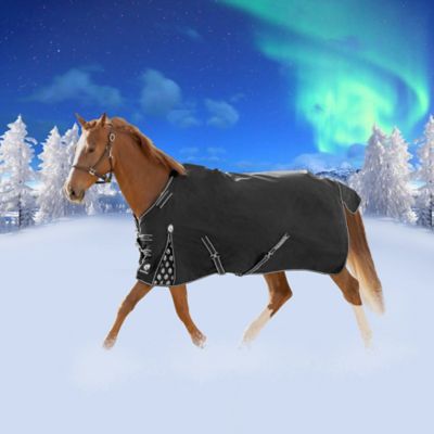 Equinavia Norse Turnout Sheet