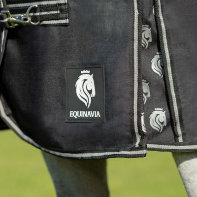 Image showing 3 th Equinavia Norse Turnout Sheet