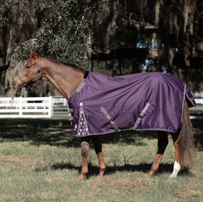Equinavia Norse Mid Weight Turnout Blanket 200g