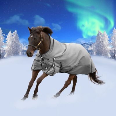 Equinavia Arktis Extended Neck Mid Weight Turnout Blanket 200g