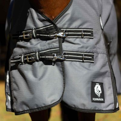 Image showing  Arktis Extended Neck Heavy Weight Turnout Blanket 300g