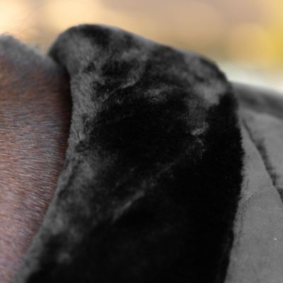 Image showing  Luksus Premium Cooler