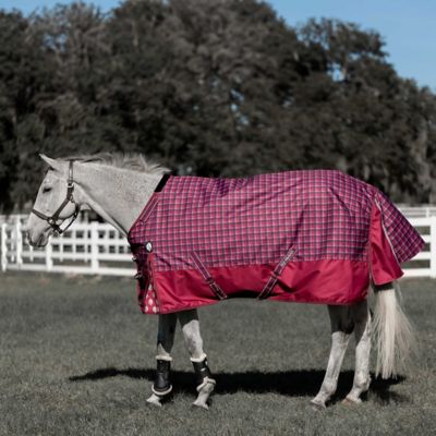 Equinavia Arktis Regular Neck Mid Weight Turnout Blanket 200g