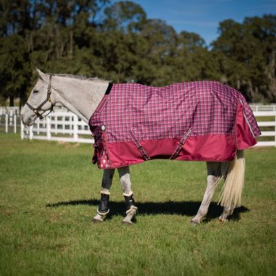 Image showing  Arktis Regular Neck Mid Weight Turnout Blanket 200g