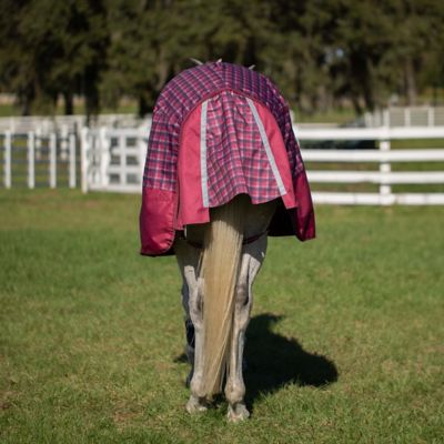 Image showing  Arktis Regular Neck Mid Weight Turnout Blanket 200g