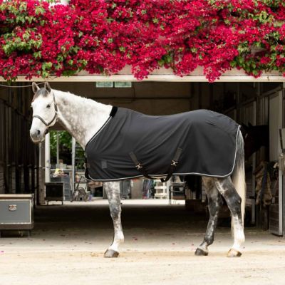 Equinavia Vind Stable Sheet