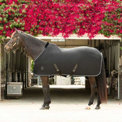 Equinavia Torr Quick Dry Cooler