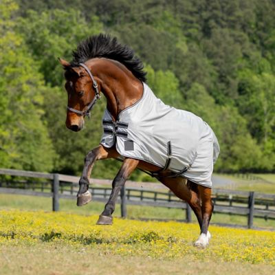 Image showing 3 th Equinavia Gard Fly Sheet