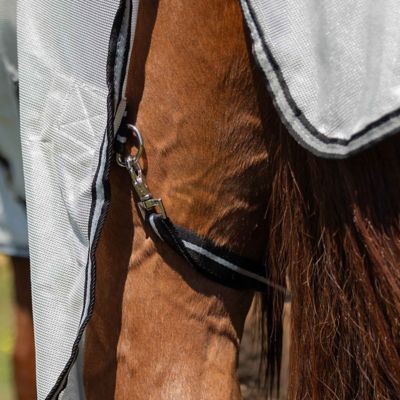 Image showing  Brisk Fly Sheet with Detachable Neck
