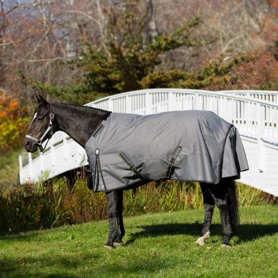 Image showing 1 th Equinavia Arktis Regular Neck Heavy Weight Turnout Blanket 300g
