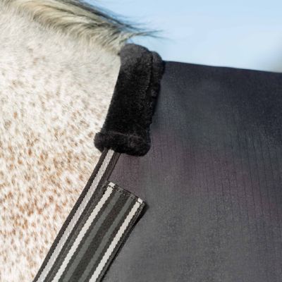 Image showing 6 th Equinavia Norse Heavy Weight Turnout Blanket 300g