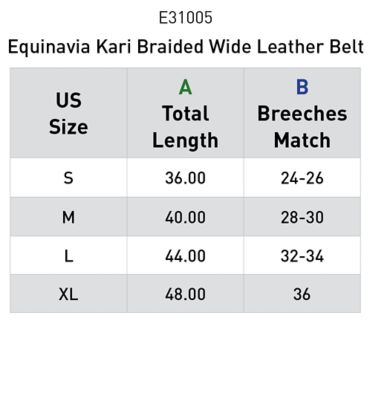Image showing  Kari Braided Wide Leather Belt