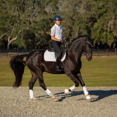 Image showing  Haakon Mens Short Sleeved Show Shirt