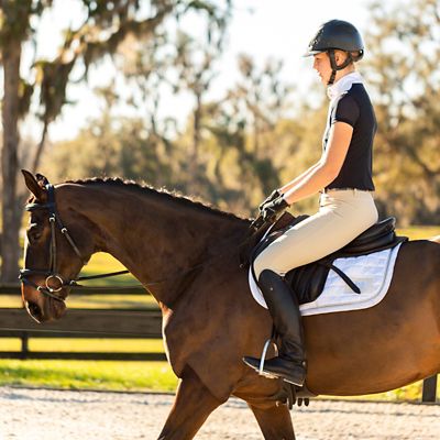 Image showing 3 th Equinavia Maud Womens Knee Patch Breeches