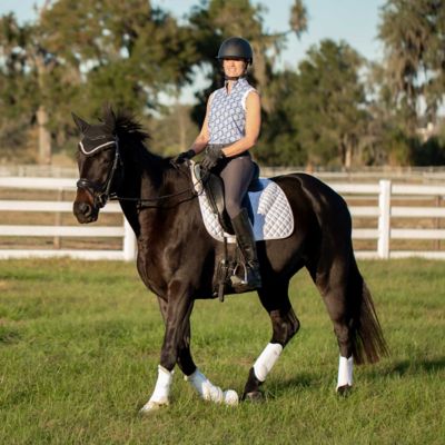 Image showing 8 th Equinavia Victoria Womens Silicone Full Seat Breeches