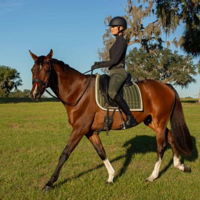 Image showing 4 th Equinavia Inga Womens Fusion Full Grip Tights