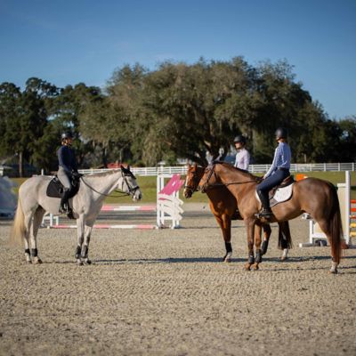 Image showing  Kristina Womens Full Seat Breeches