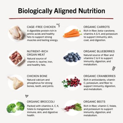 Image showing  Meal Mixers Chicken Freeze-Dried Raw Dog Food Topper, 35 oz.