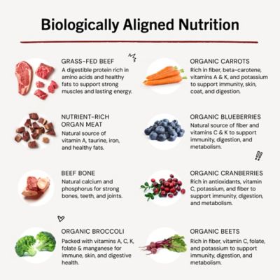 Image showing  Meal Mixers Super Beef Freeze-Dried Raw Dog Food Topper, 1 oz.